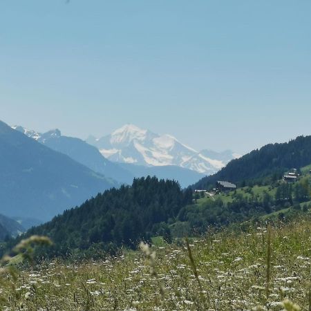 Haus Seiler Apartamento Goms Exterior foto
