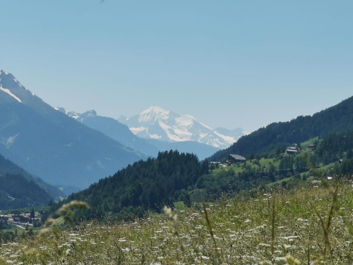 Haus Seiler Apartamento Goms Exterior foto