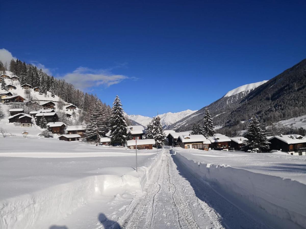 Haus Seiler Apartamento Goms Exterior foto
